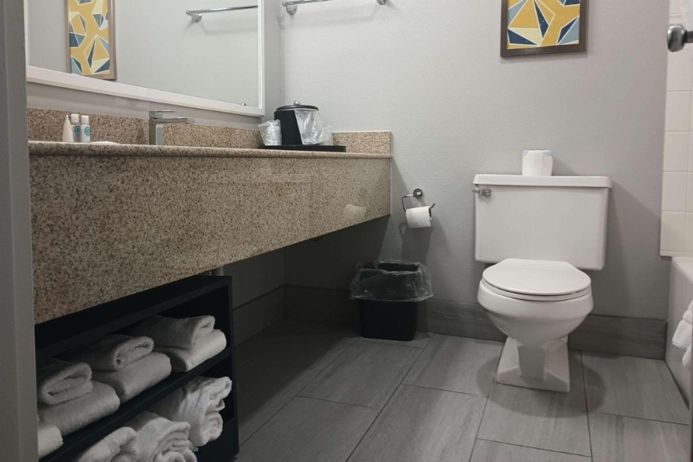 Comfort Inn & Suites Image 25